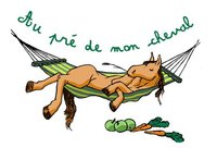 STAGE vacances d'été 2017