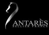 Challenge ANTARES 
